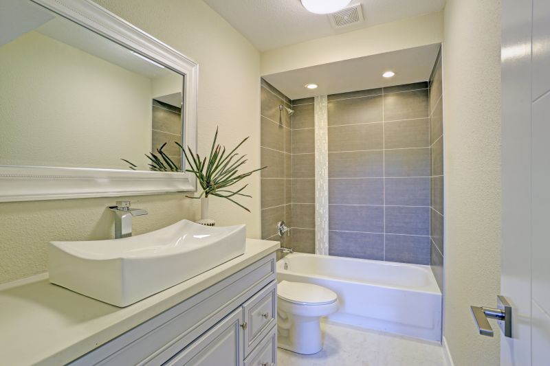 Accessible Bathroom Remodel detail